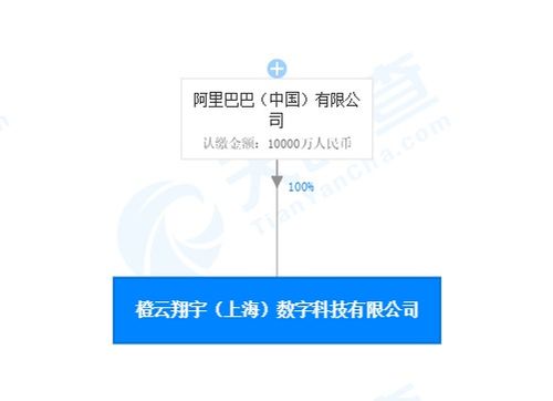 集成电路芯片领域再落一子，阿里巴巴上海成立数字科技公司